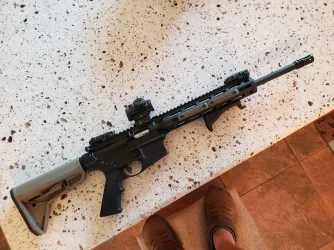 M&P 15-22  .22LR.webp