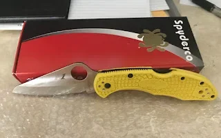 Spyderco Salt.webp