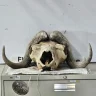 TheHack